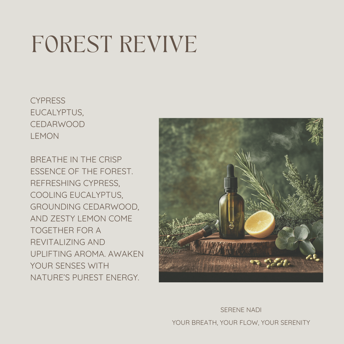 Serene Nadi Forest Revive – Refresh & Clarify Essential Oil Blend - Serene Nadi