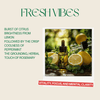 Serene Nadi Fresh Vibes – Refresh & Revive Aromatherapy Roll - On - Serene Nadi